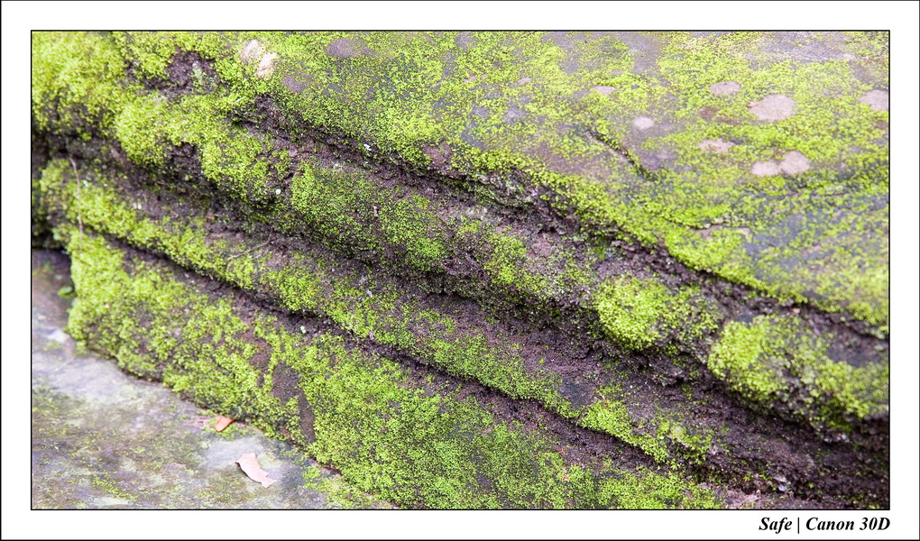 2006 - 07 - Temple angkor - Bantea Kdei 16